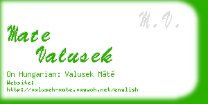 mate valusek business card